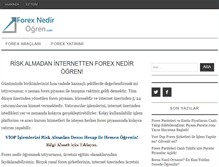 Tablet Screenshot of forexnedirogren.com